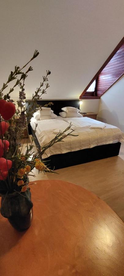 Bükkszék Forras Fogado Bed & Breakfast エクステリア 写真