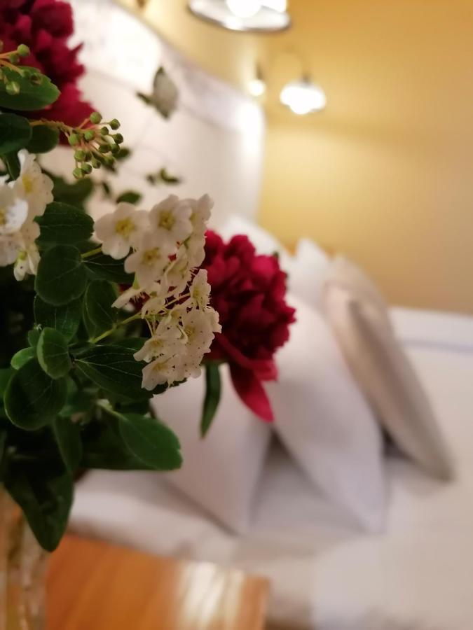 Bükkszék Forras Fogado Bed & Breakfast エクステリア 写真